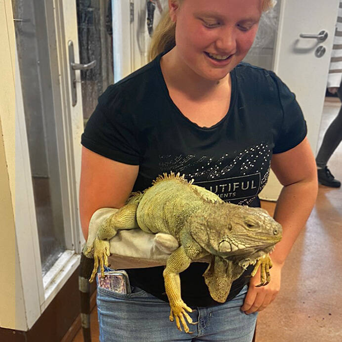 Joëlle met leguaan  reptielenoppas  konijnenoppas paardenoppas Hondenuitlaatservice Huisdierenoppas  dierenservice Joëlle Veenendaal, Rhenen, Achterberg, Overberg, Elst, Ederveen, Renswoude, Ede, Bennekom