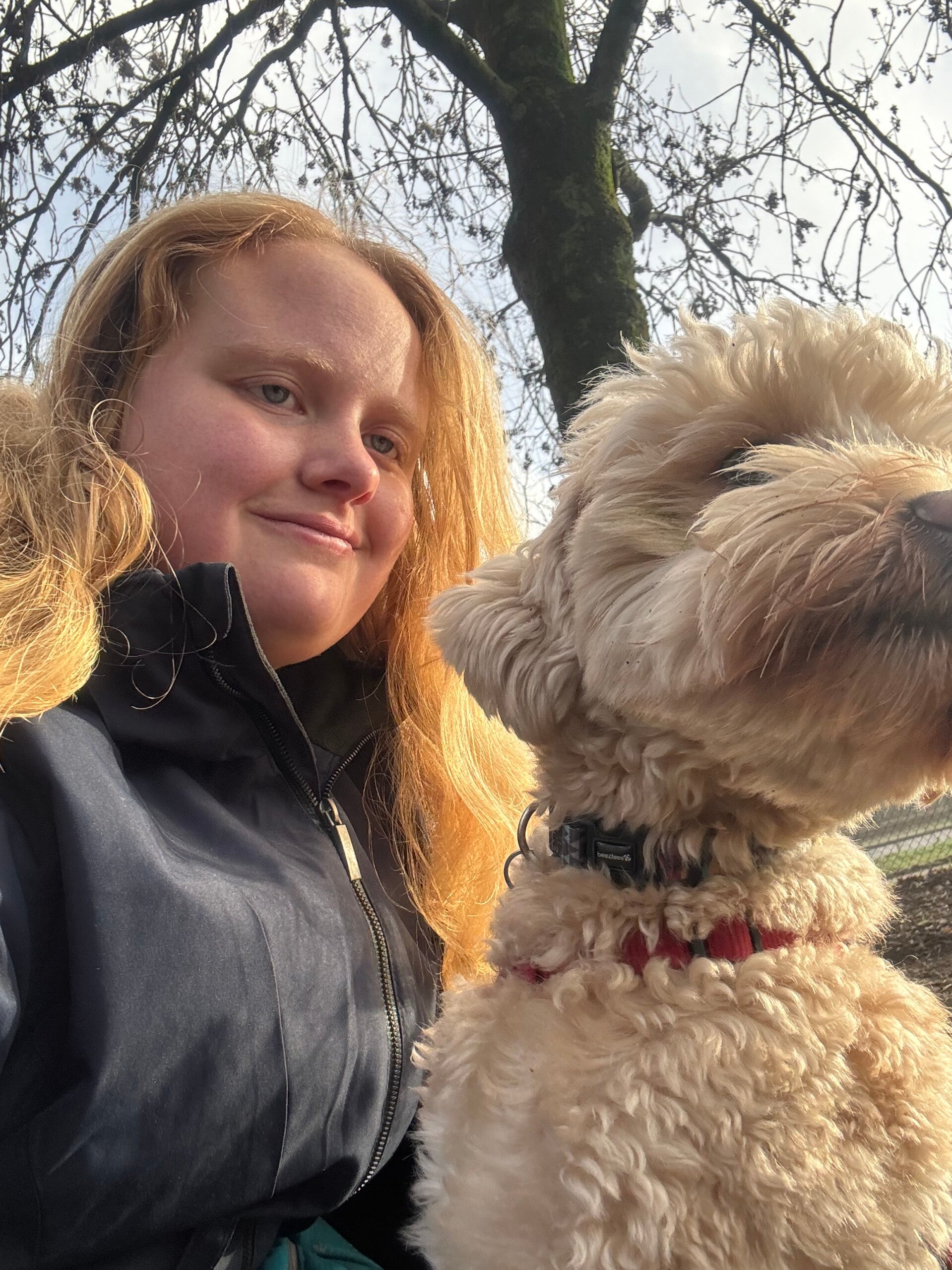 Franse Buldog in bad wassen  Uitlaatservice Joëlle Veenendaal