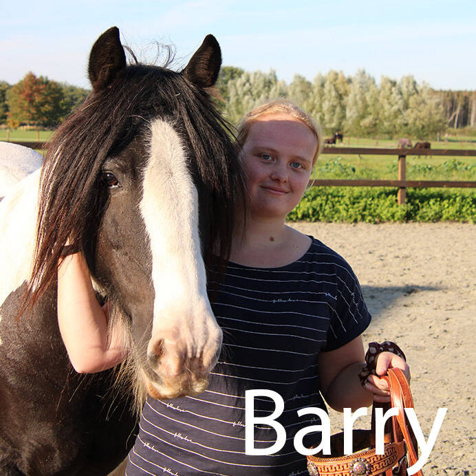 Joëlle met tinker pony paardenoppas Hondenuitlaatservice Huisdierenoppas  dierenservice Joëlle Veenendaal, Rhenen, Achterberg, Overberg, Elst, Ederveen, Renswoude, Ede, Bennekom