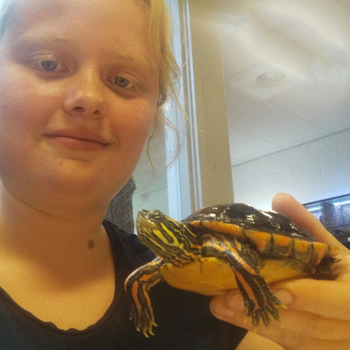 Joëlle met schildpad Bruin wit konijn konijnenoppas paardenoppas Hondenuitlaatservice Huisdierenoppas  dierenservice Joëlle Veenendaal, Rhenen, Achterberg, Overberg, Elst, Ederveen, Renswoude, Ede, Bennekom