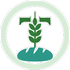 Toupain