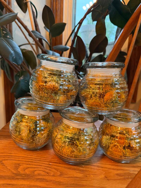 Freeze Dried Elecampane