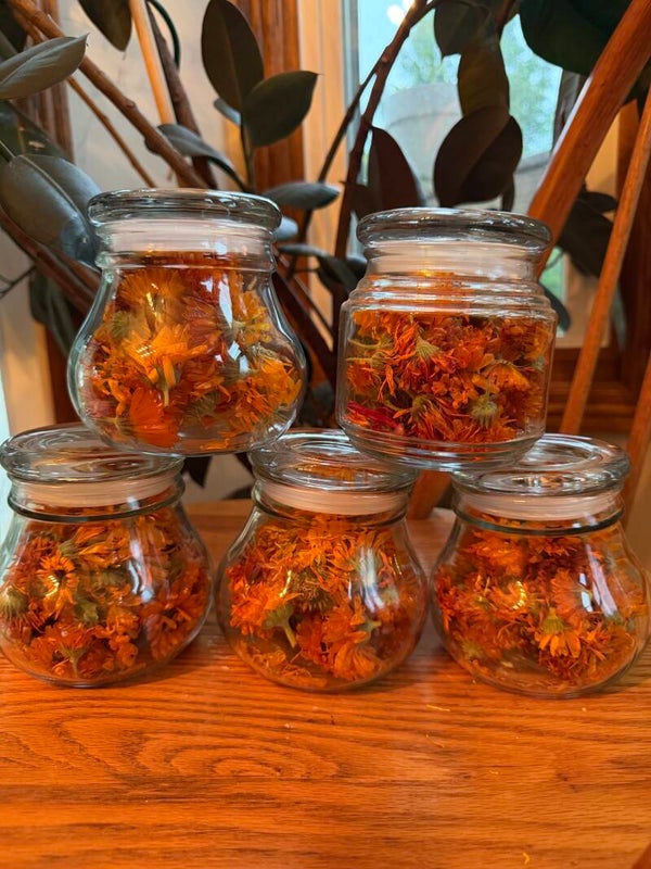 Freeze Dried Calendula