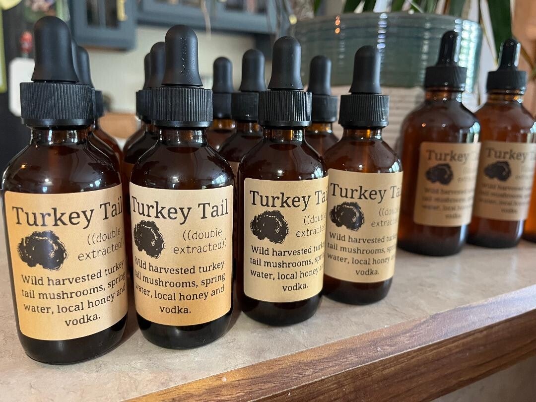 Turkey Tail Medicinal Mushroom Tincture