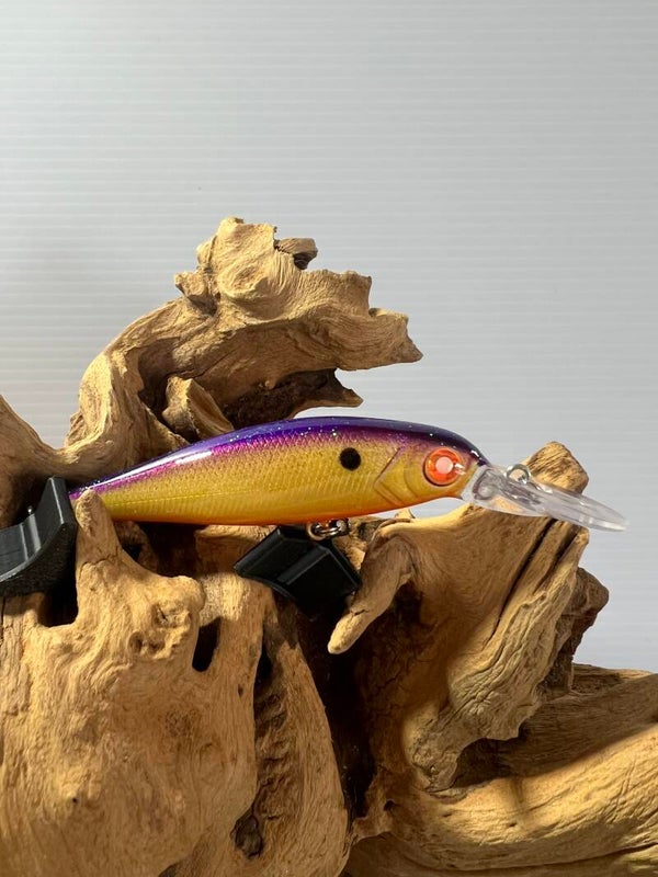 Shad #6