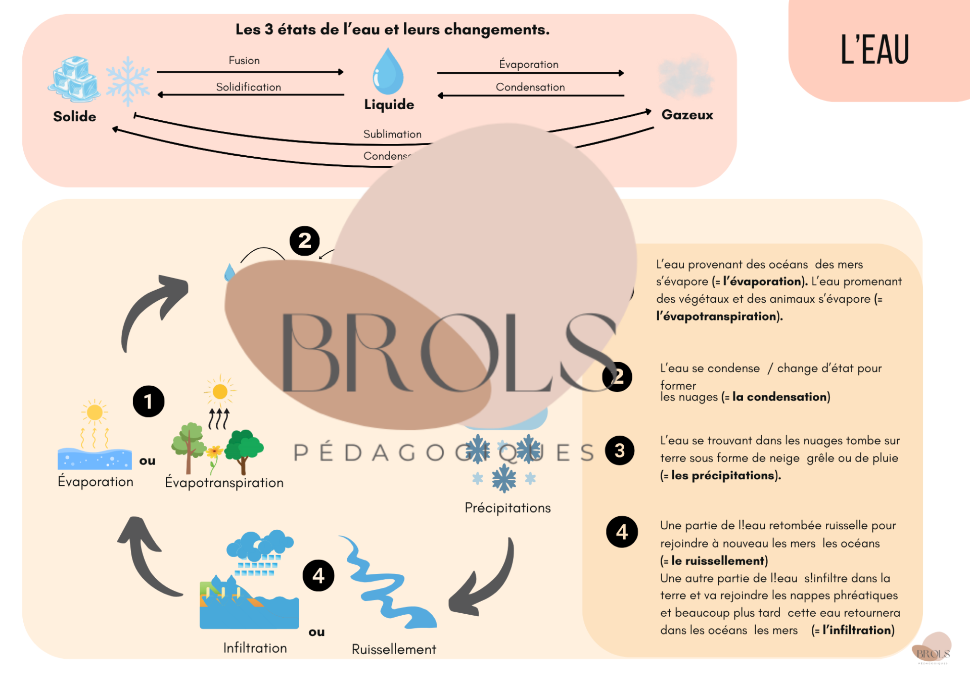 L'eau - synthèse CEB