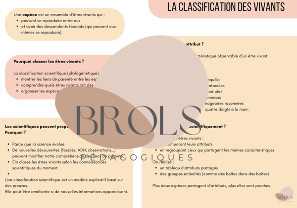 La classification des vivants - synthèse CEB