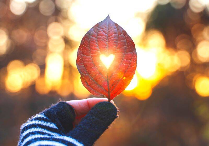 Autumn leaf with heart-shaped cutout glowing in sunlight, symbolizing warmth, gratitude, and God’s light shining through.