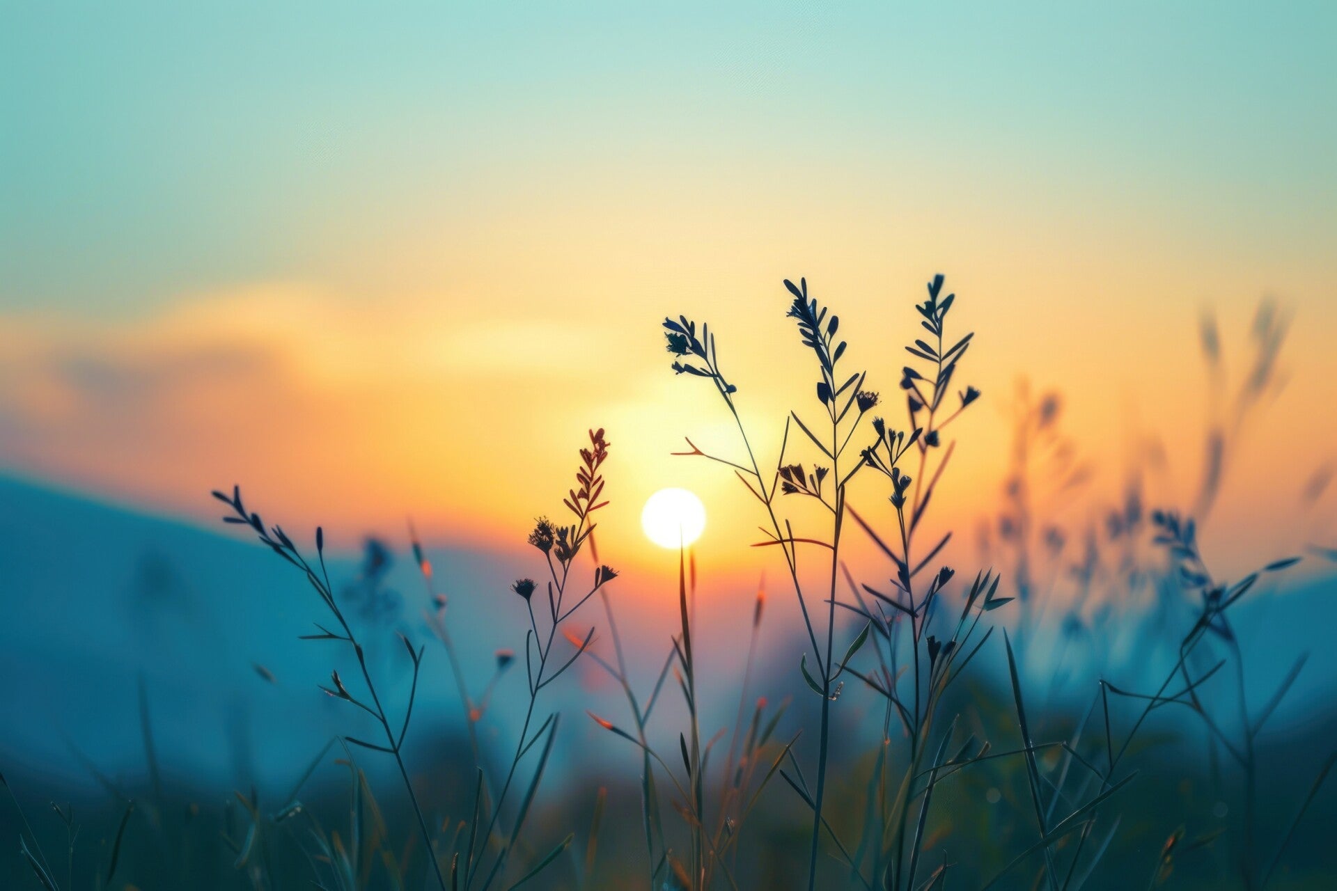 good-morning-scene-background-wallpaper-blessing-message