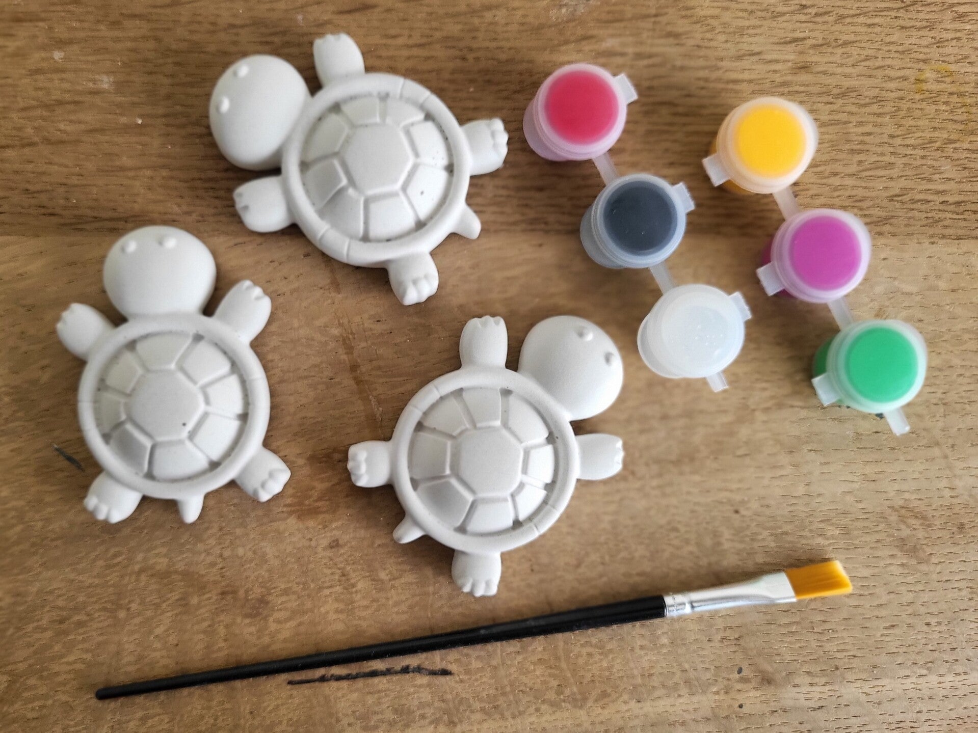 Schilder je eigen magneet: Schildpadden