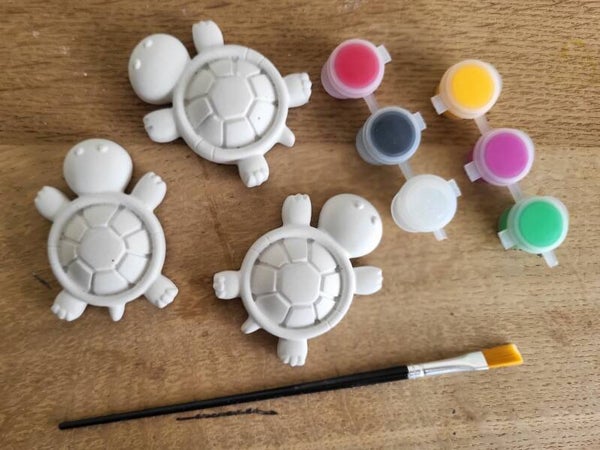 Schilder je eigen magneet: Schildpadden