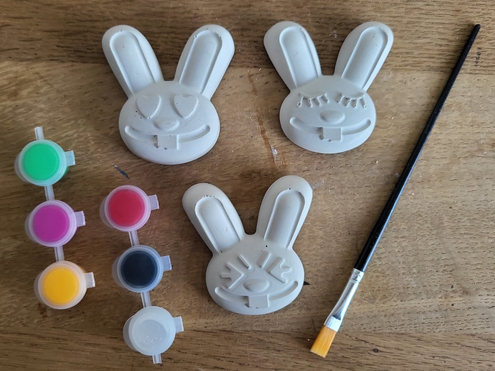 Schilder je eigen magneet: Bunnies