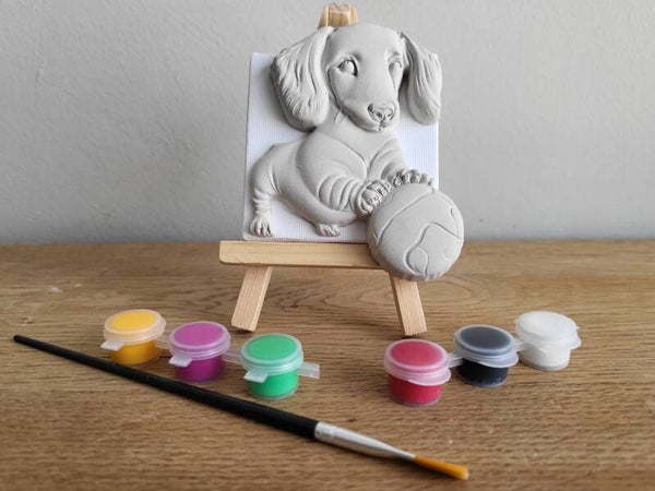Schilder je eigen canvas: Hond met bal