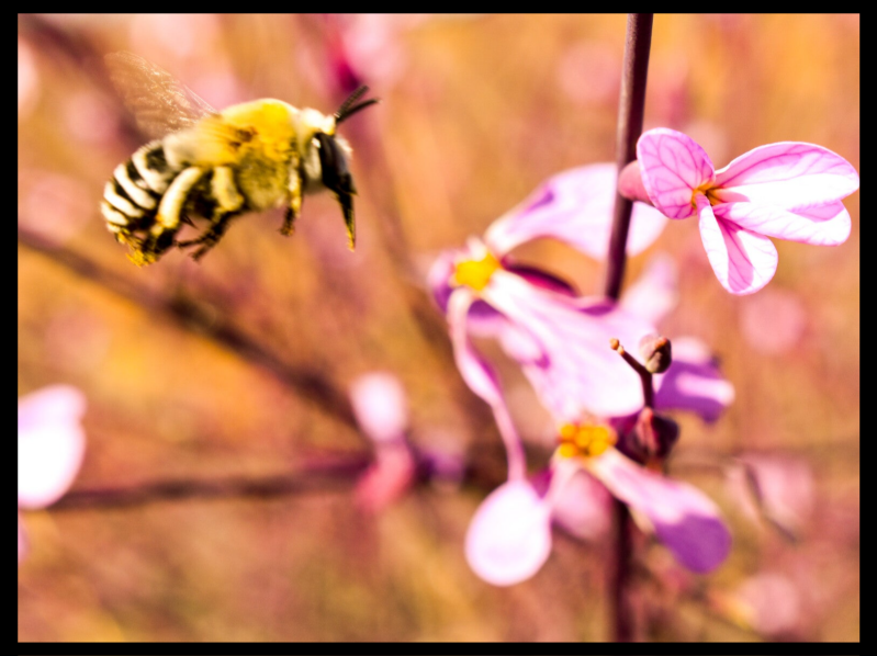 Natur und Schönheits Programm von Frauen für Frauen