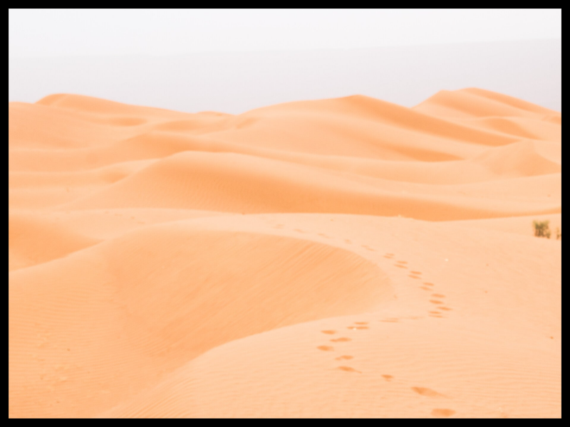 Unendliche Weite der Sanddünen der marokkanischen Sahara