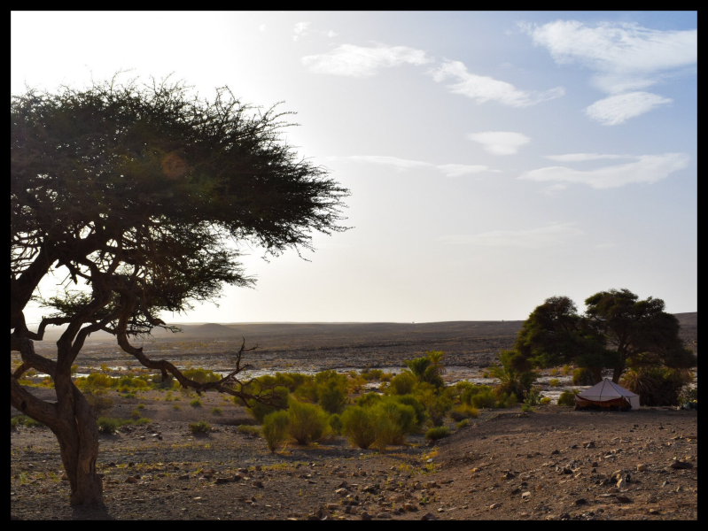 Die Schönheit der Natur Marokkos entdecken