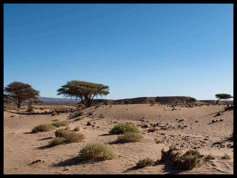 Beeidruckende Naturlandschaften Marokkos