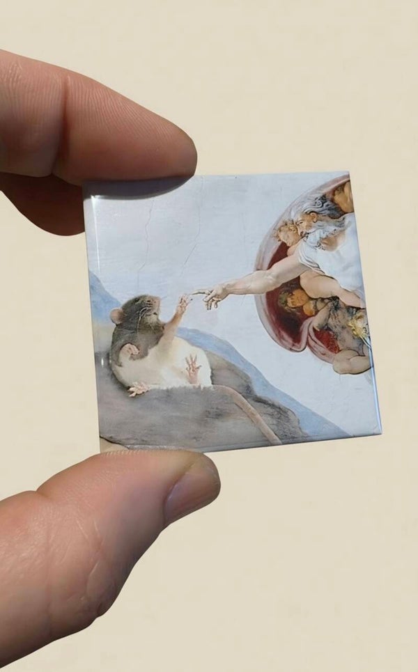 Calamita