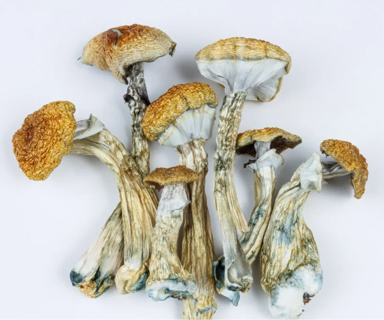 Raw Nature's Medicine