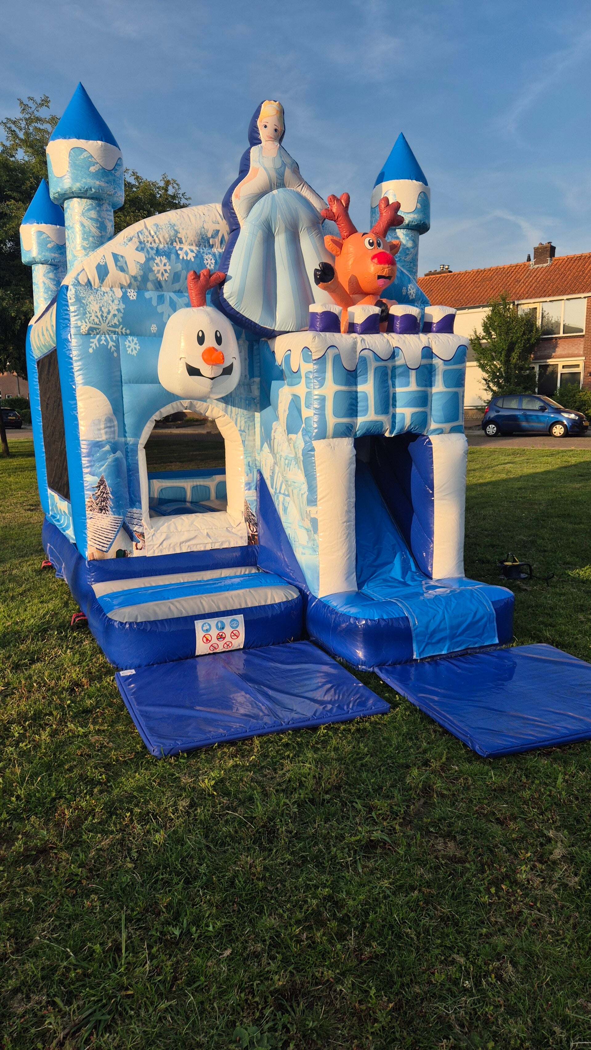 Prinses Frozen klein