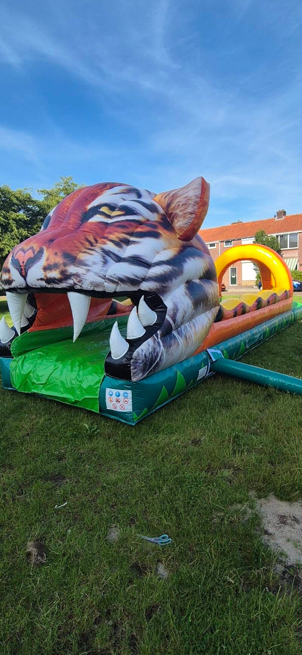 Buikschuifbaan tijger