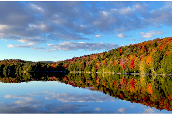 Saison des couleurs et automne (octobre à novembre)	Tarif par nuit