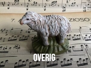 Overig
