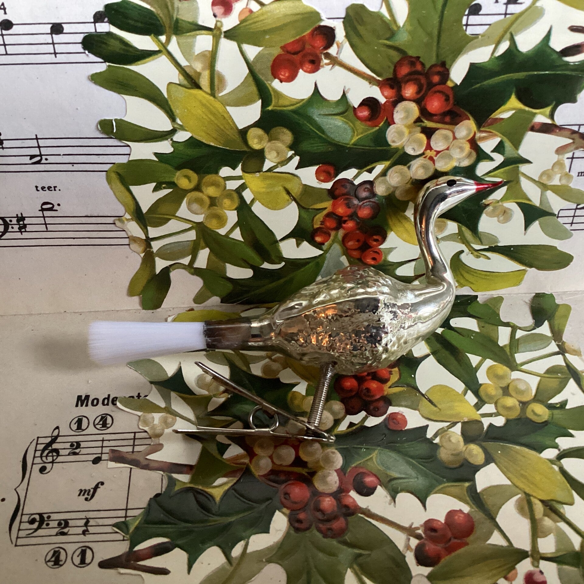 Oud zwaantje op nieuwe clip, fiberstaart