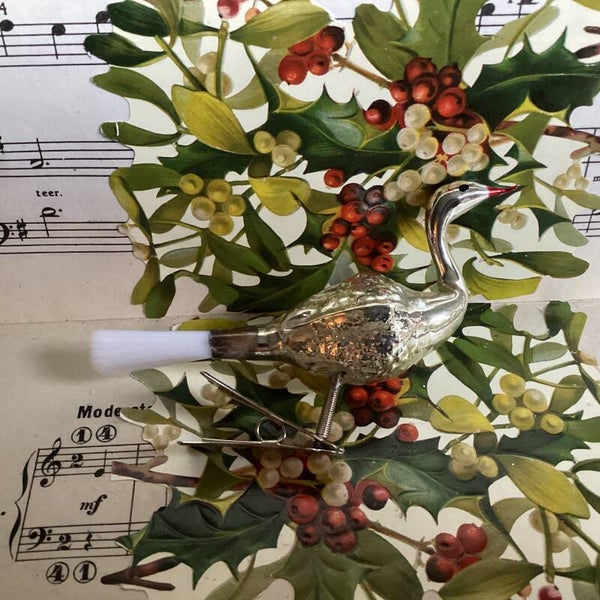 Oud zwaantje op nieuwe clip, fiberstaart