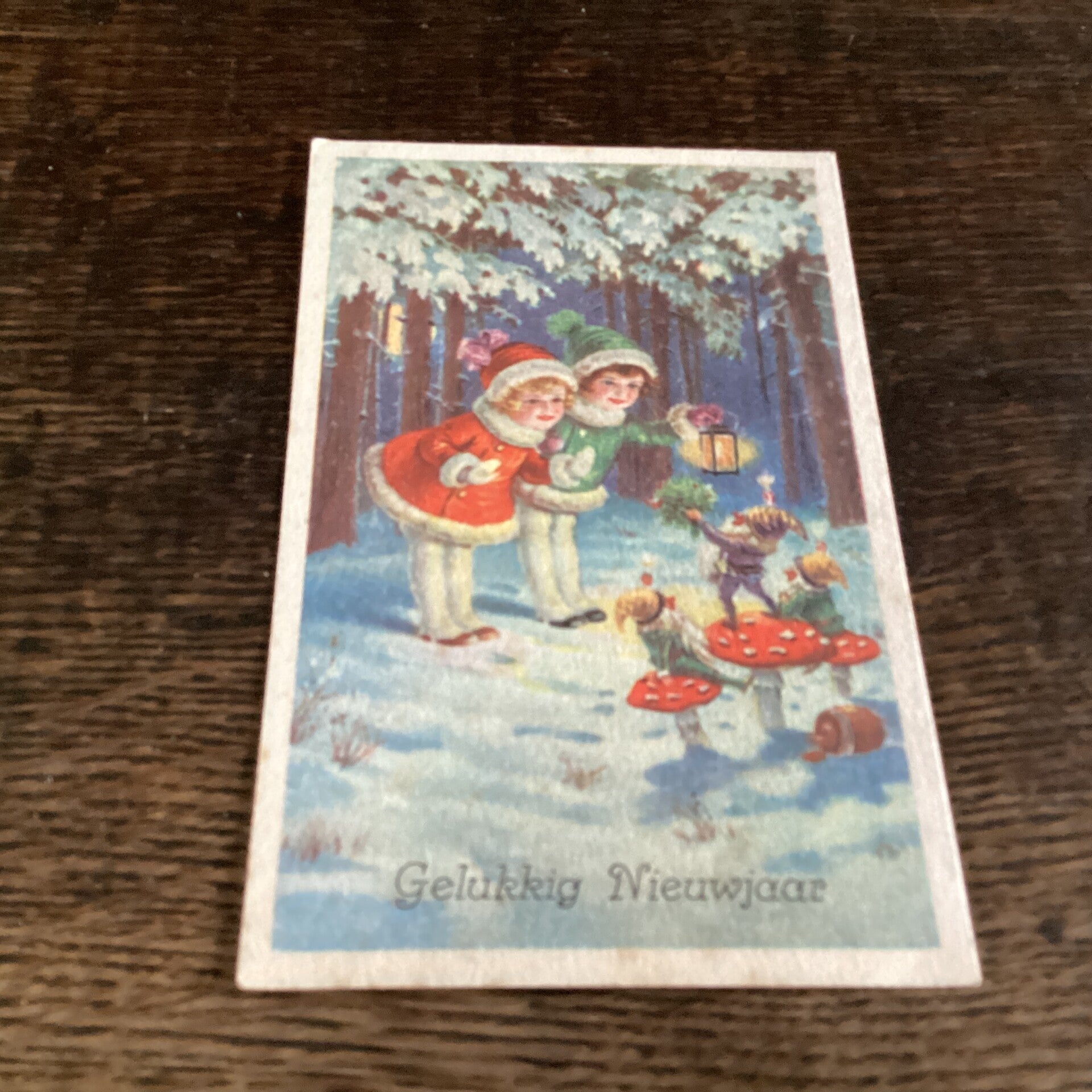 Antieke nieuwjaarskaart begin 1900, meisjes en kabouters