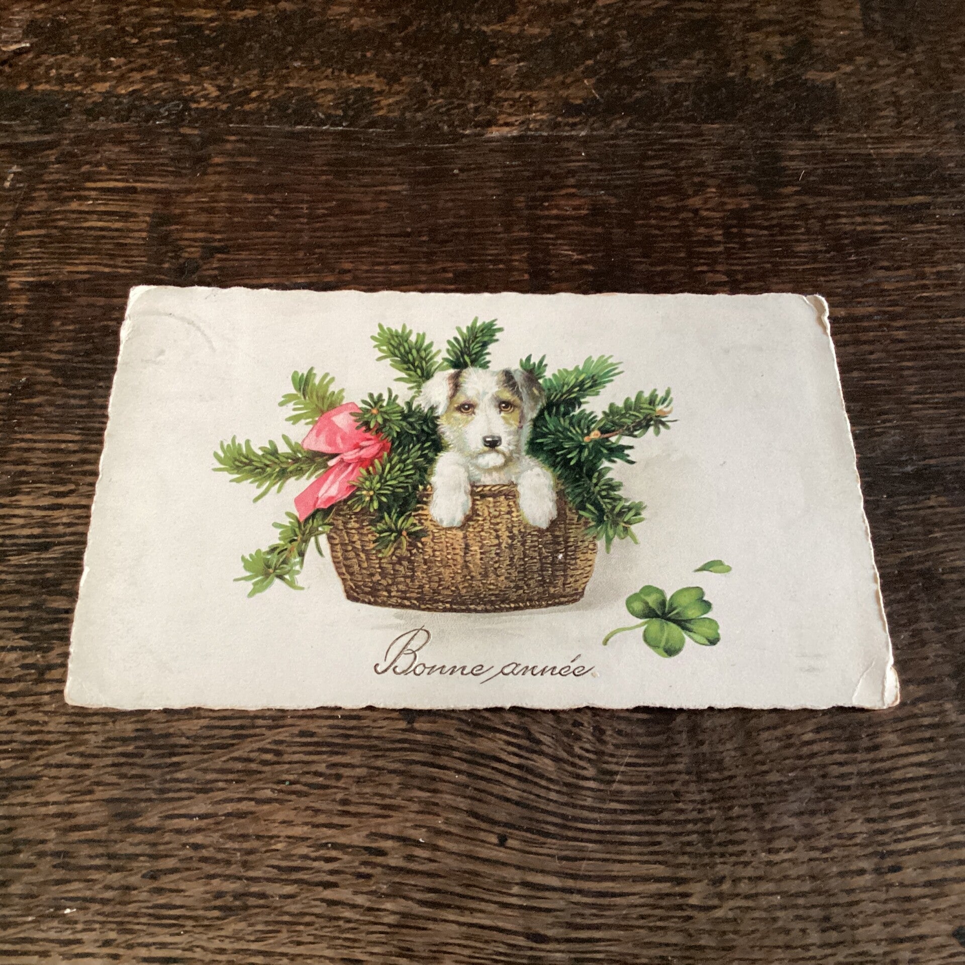 Antieke nieuwjaarskaart begin 1900, hondje in mand