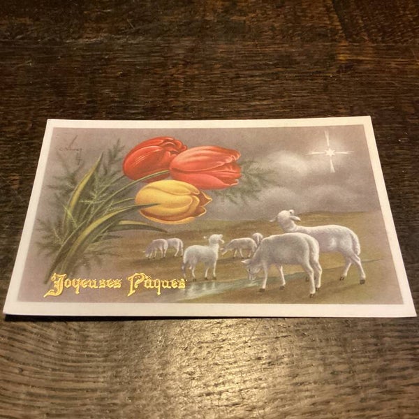 Antieke paaskaart onbeschreven, begin 1900, lammetjes met tulpen
