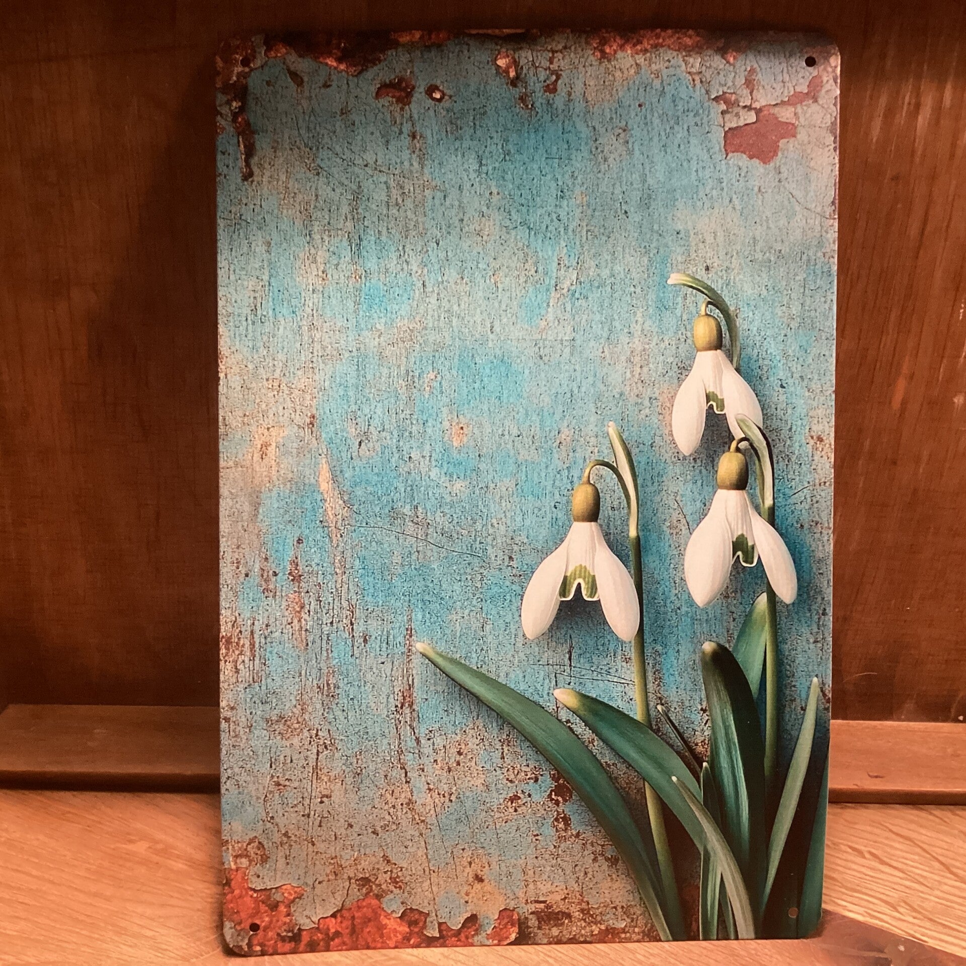 Metalen bord winterklokjes 30x20 cm