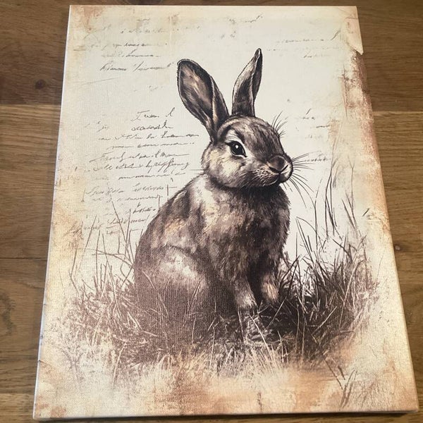 Haas op doek op houten frame 30x40 cm