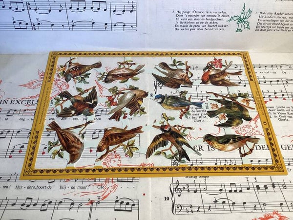 Poezieplaatje vogels per vel