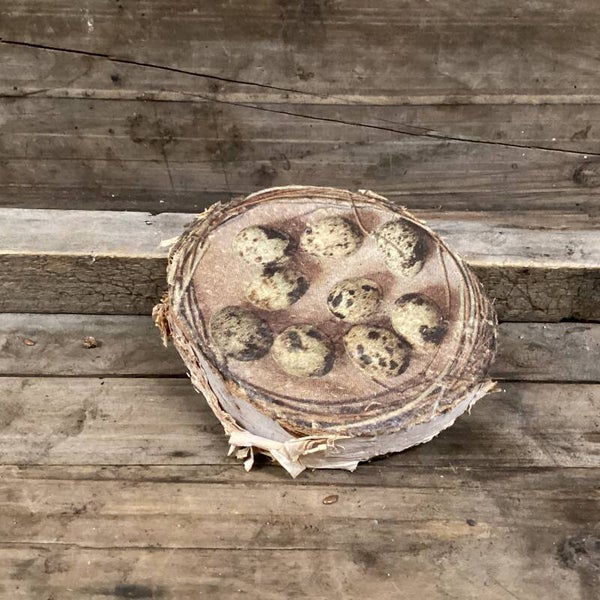 Boomstammetje rond de 9 cm met 3D kwartelei nestje opdruk