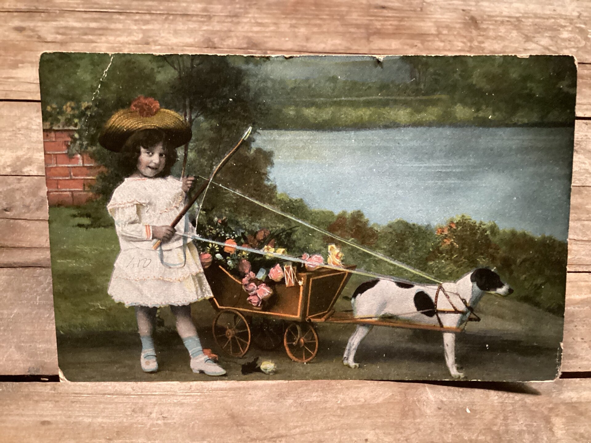 Antieke kaart meisje met hondenkar