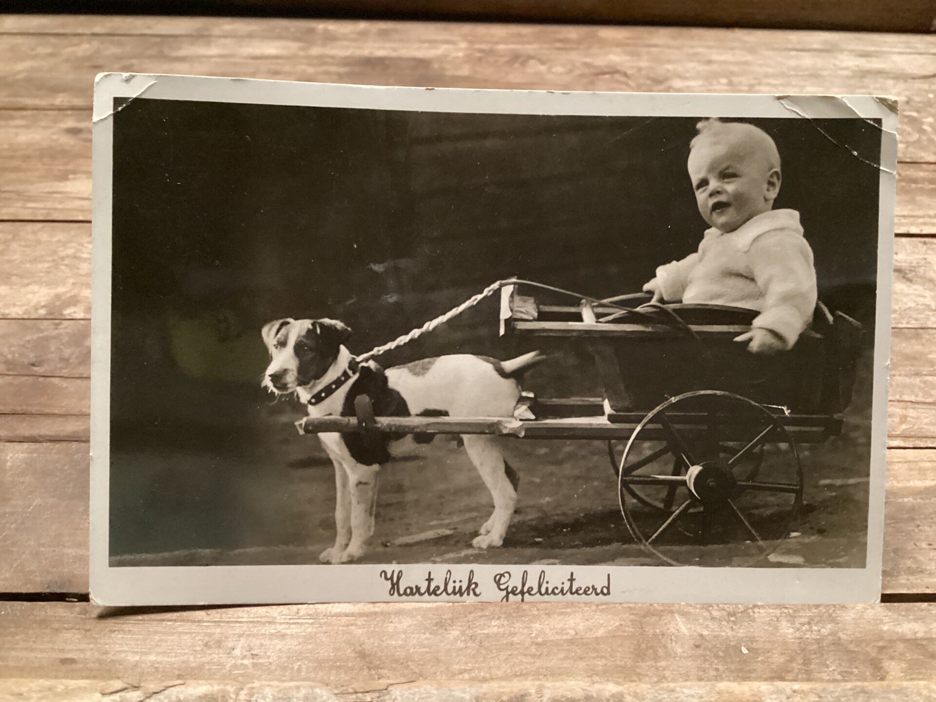 Antieke fotokaart jongetje met hondenkar