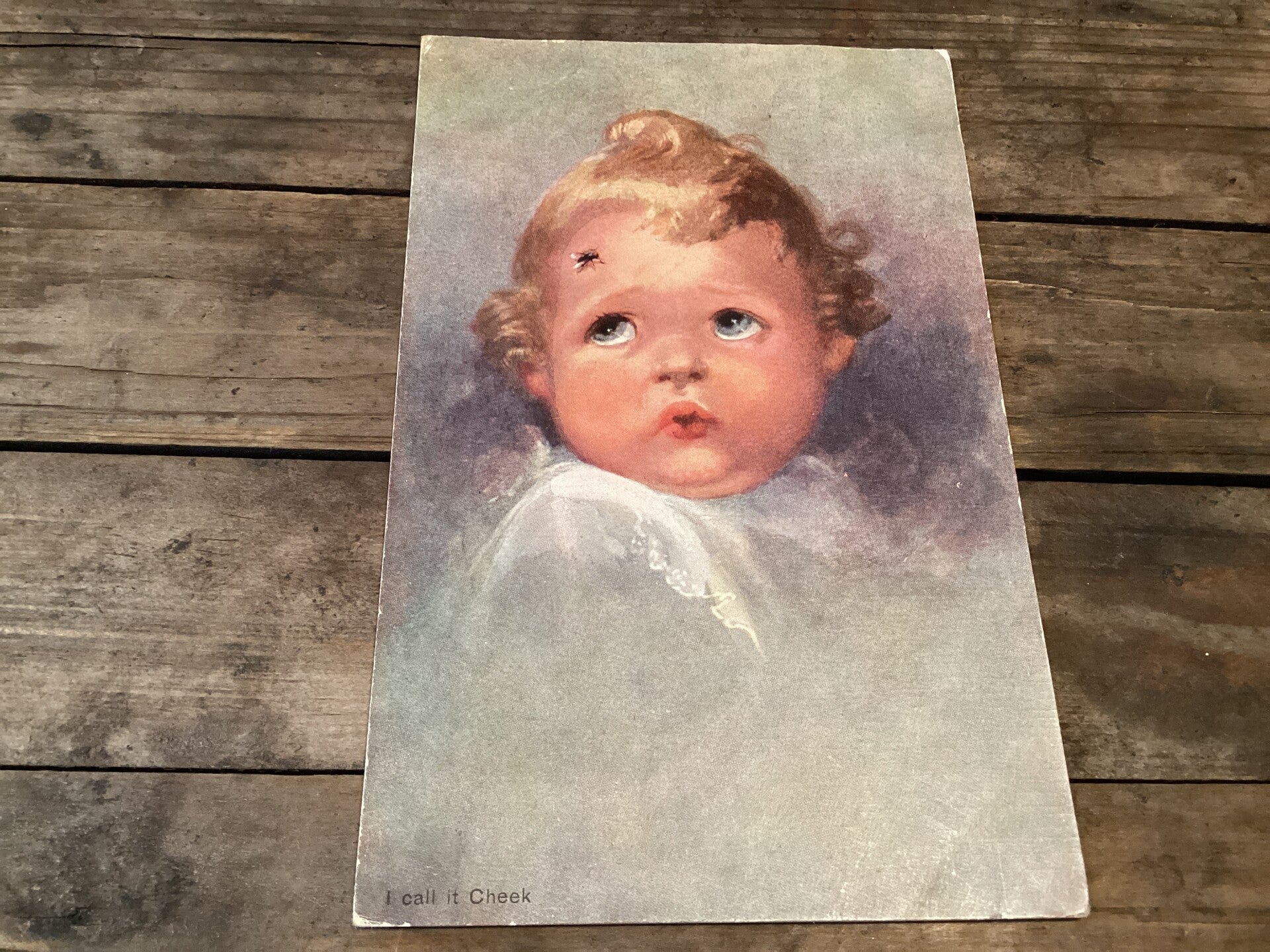 Oude ansichtkaart meisje met vliegje op haar voorhoofd