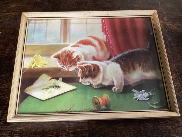 Vintage afb.in lijst 20x25 cm Poesjes kijken naar libelle