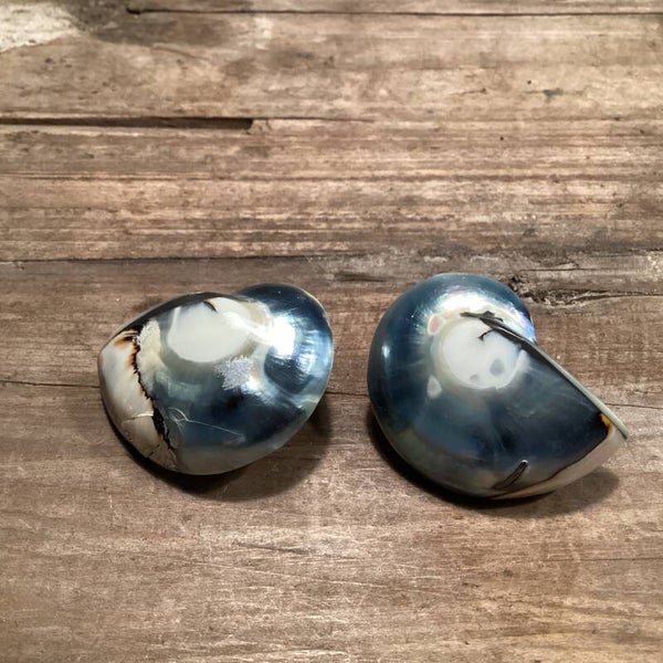 Retro parelmoer schelp oorbellen gerepareerd, 4 cm