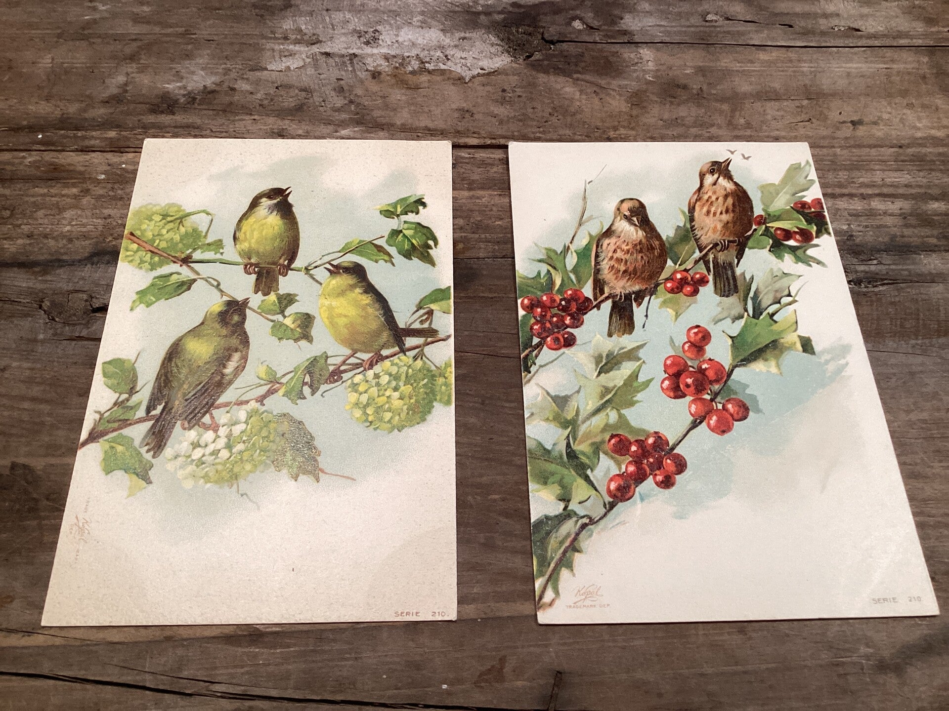 Set van 2 antieke vogelkaarten begin 1900 onbeschreven