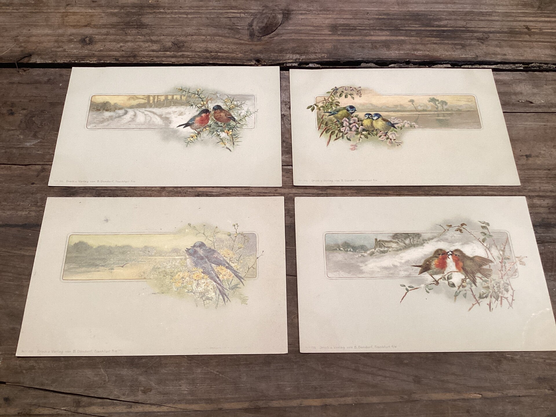 Set van 4 antieke vogelkaarten begin 1900 onbeschreven