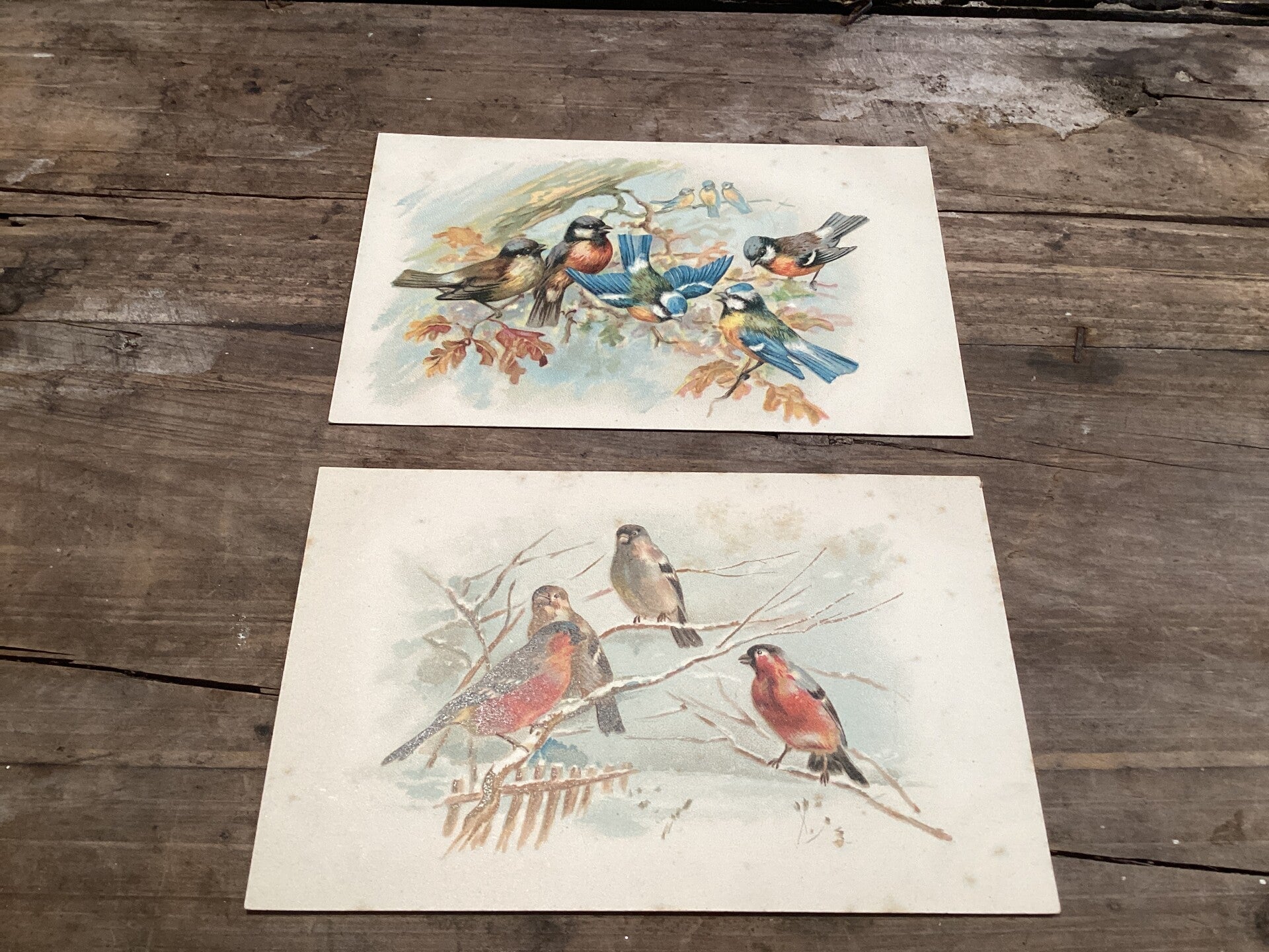 Set van 2 antieke vogelkaarten begin 1900 onbeschreven