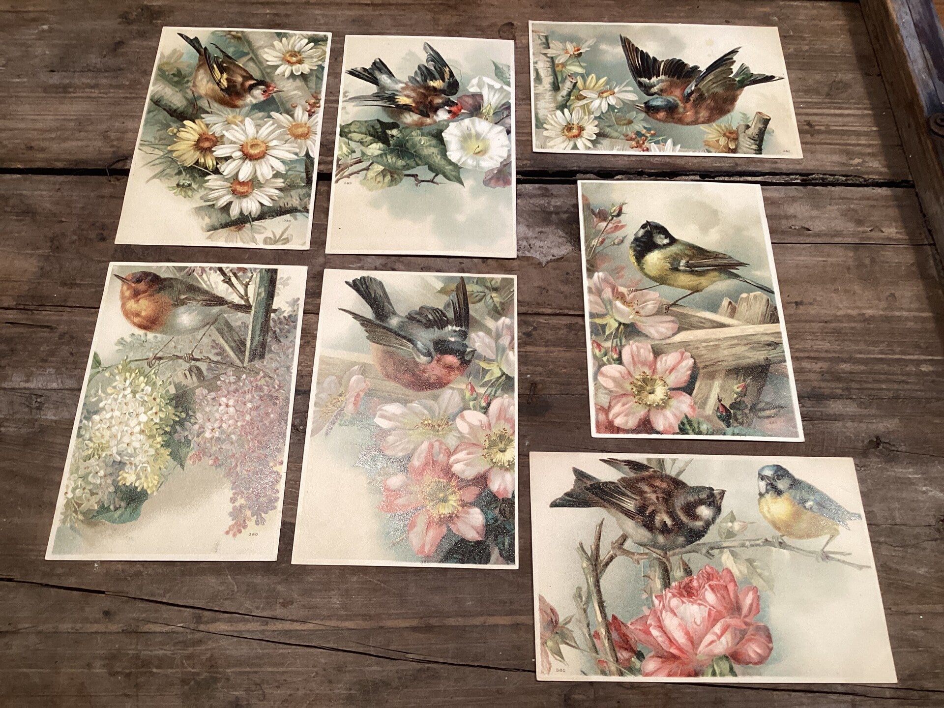 Set van 7 antieke vogelkaarten begin 1900 onbeschreven