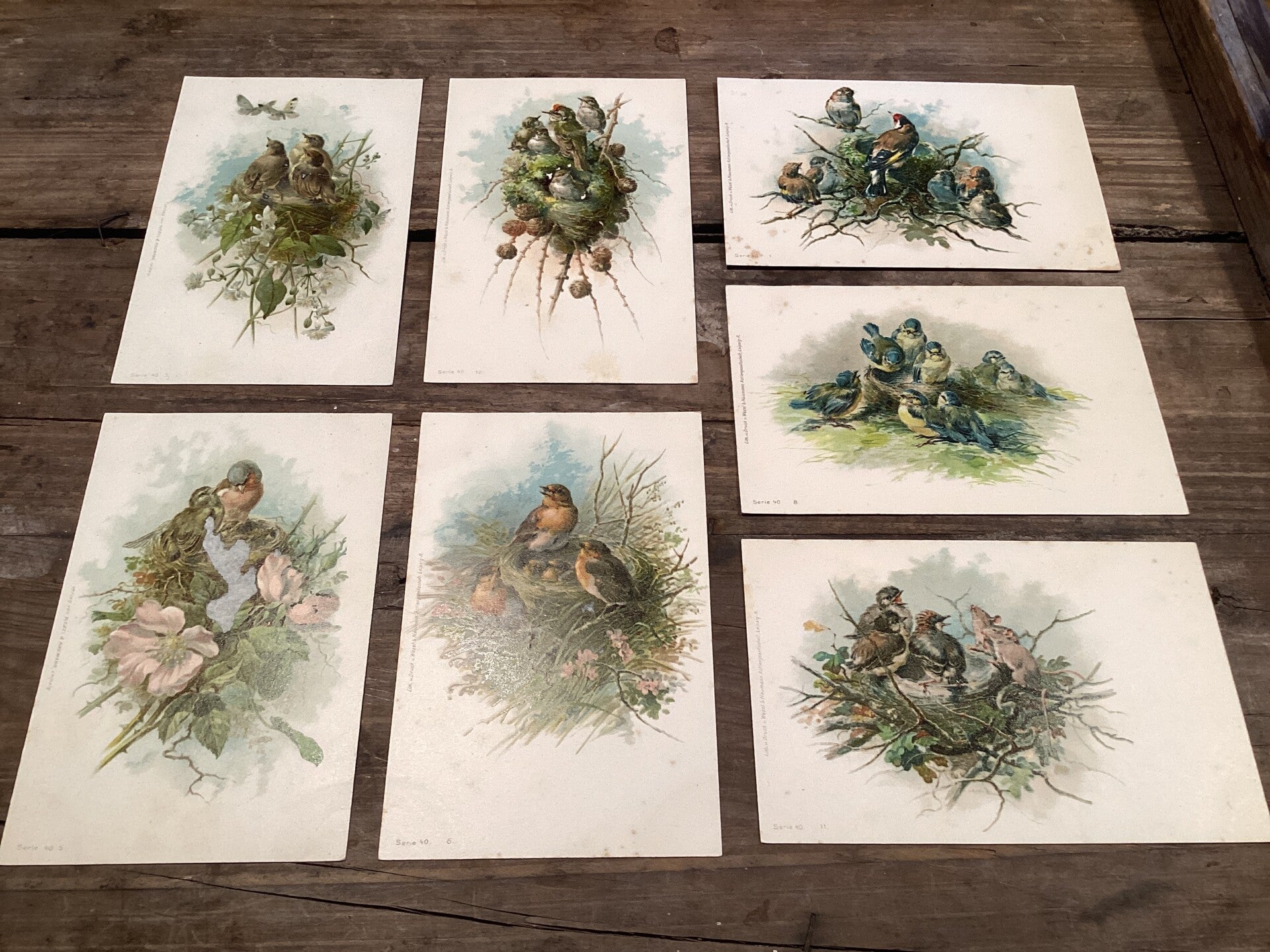 Set van 7 antieke vogelkaarten begin 1900 onbeschreven nestjes