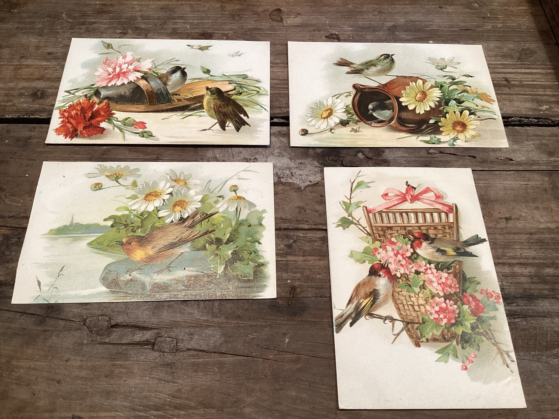 Set van 4 antieke vogelkaarten begin 1900 onbeschreven