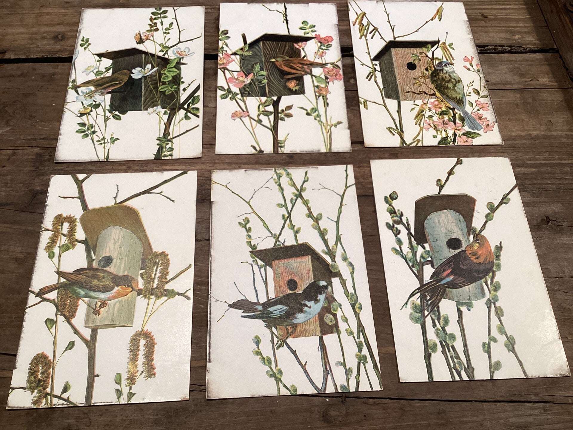 Set van 6 antieke vogelkaarten begin 1900 onbeschreven Nestkastjes