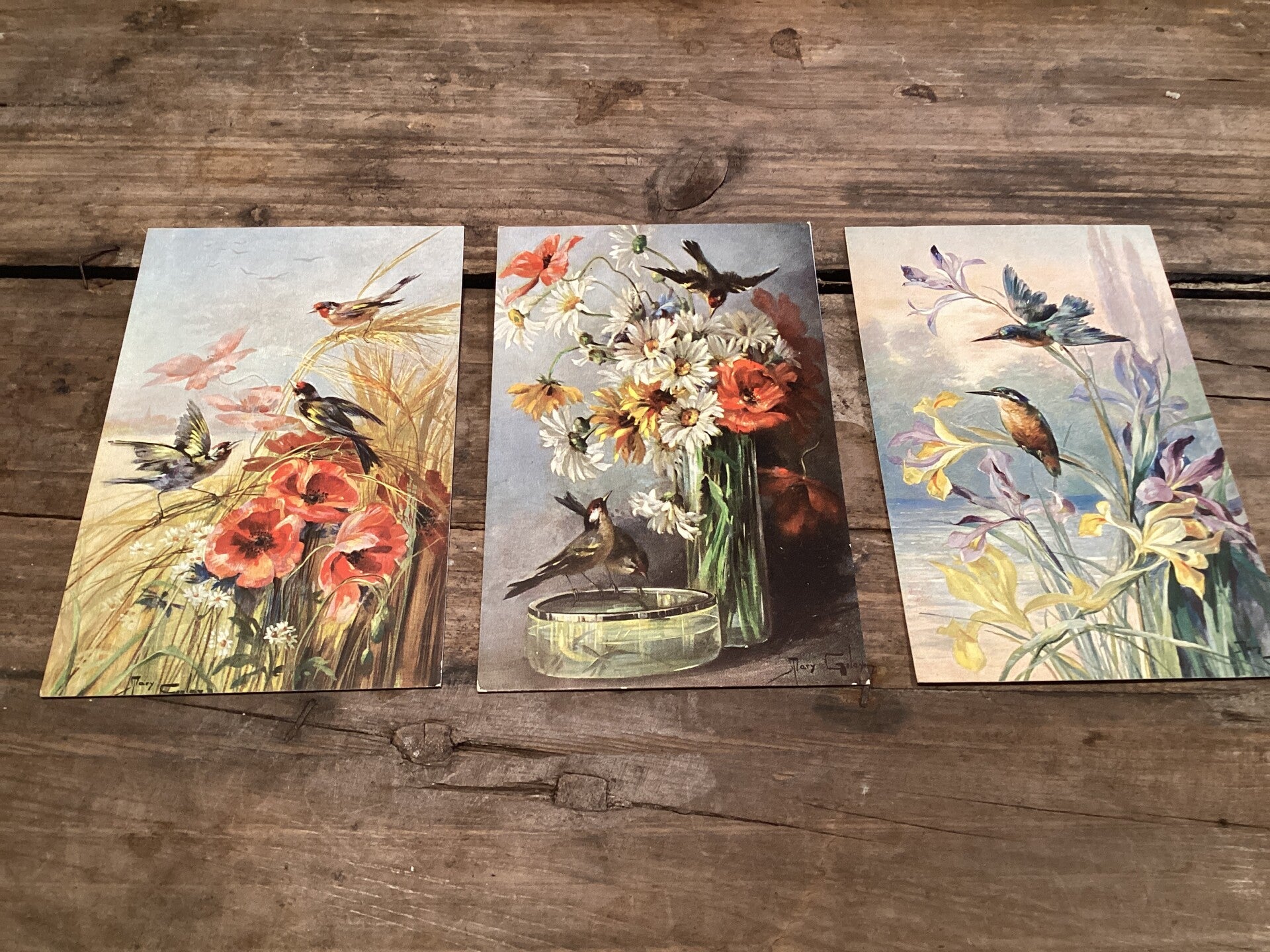 Set van 3 antieke vogelkaarten begin 1900 onbeschreven gesigneerd