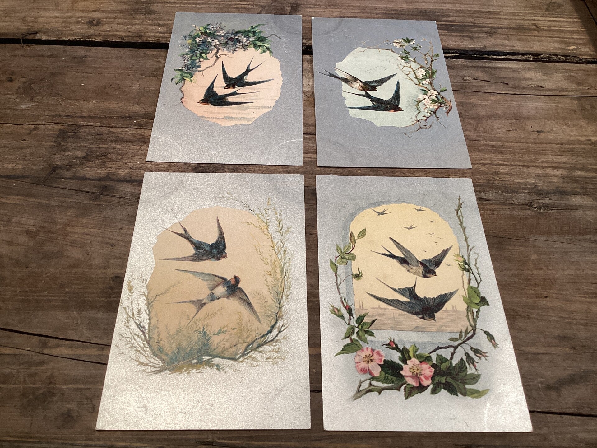 Set van 4 antieke vogelkaarten begin 1900 onbeschreven zilver papier zwaluwen